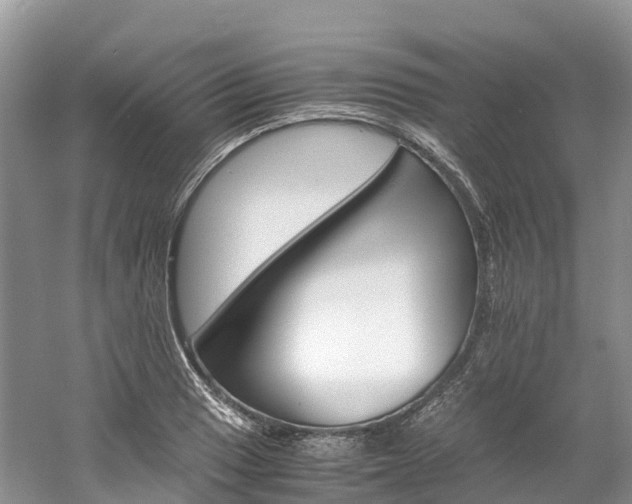 X0000061721033200512021037
