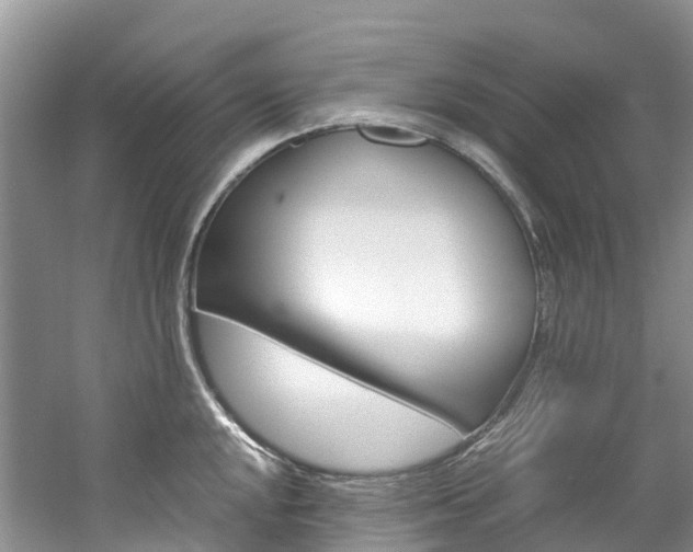X0000061721048200512021037