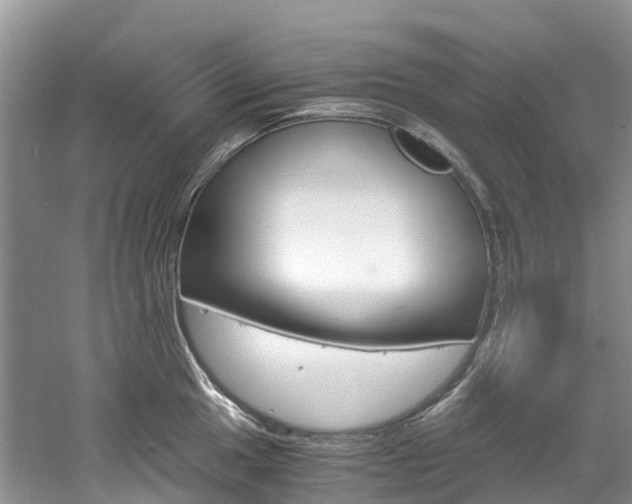 X0000061721049200512021037