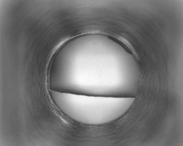 X0000061721051200512021037