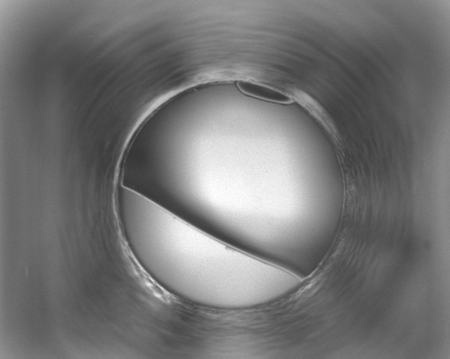 X0000061721052200512021037