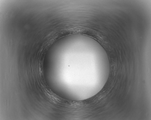 X0000061721058200512021036