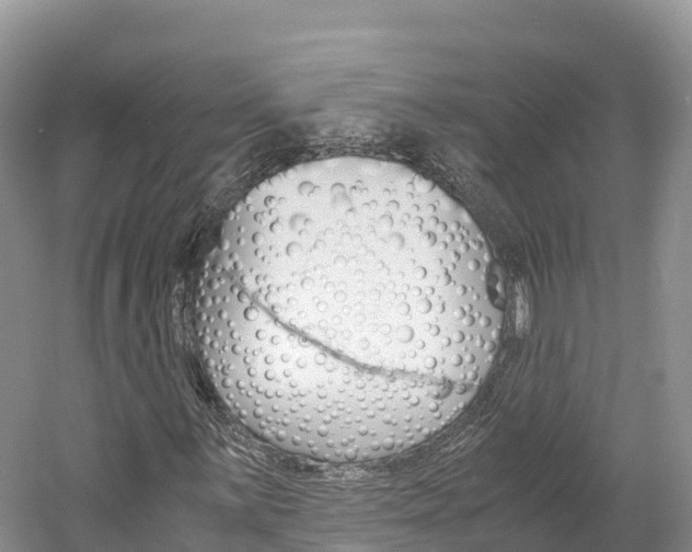 X0000061721059200512021036