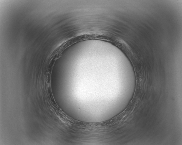 X0000061721064200512021036