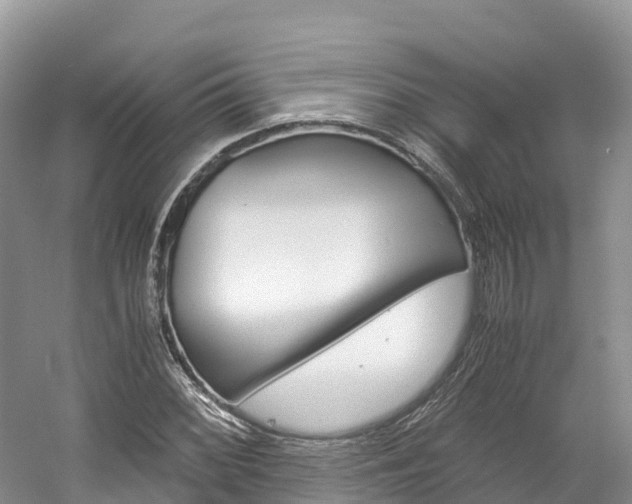 X0000061721068200512021036