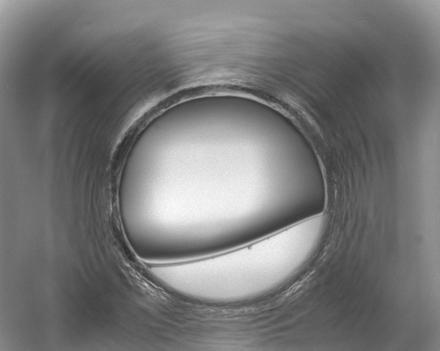 X0000061721069200512021036