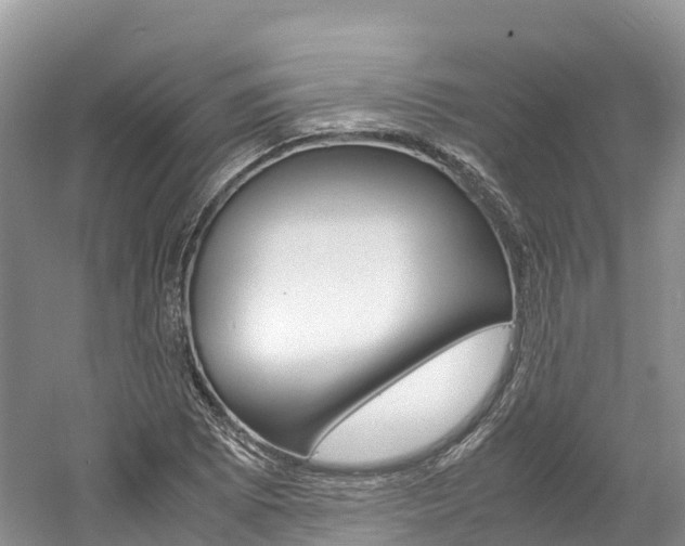 X0000061721073200512021036