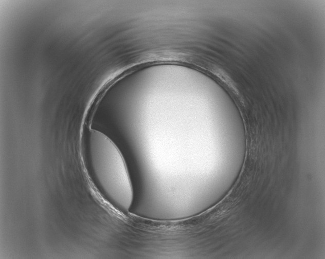 X0000061721080200512021036