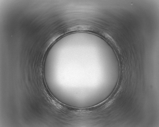 X0000061721081200512021036