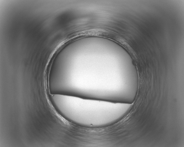 X0000061721083200512021036