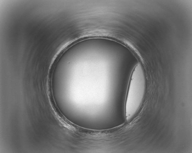 X0000061721085200512021036