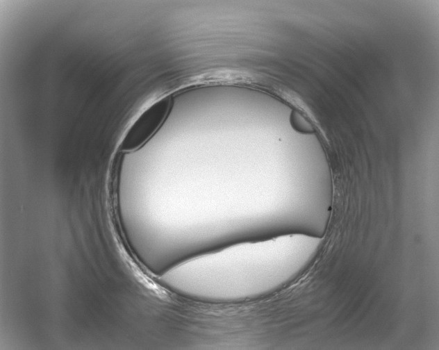 X0000061721091200512021036