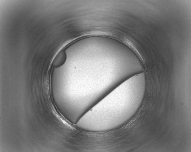 X0000061721092200512021036