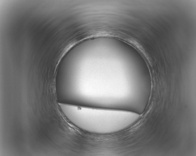 X0000061721097200512021036