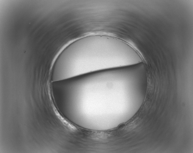 X0000061721100200512021036