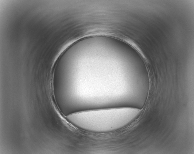 X0000061721101200512021036