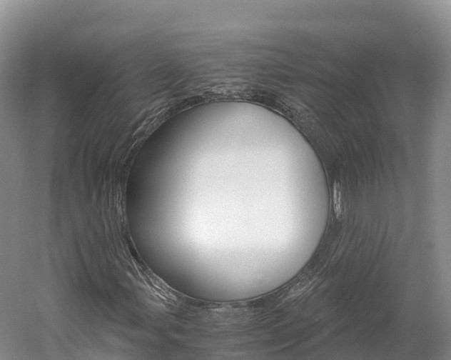 X0000061721107200512021035