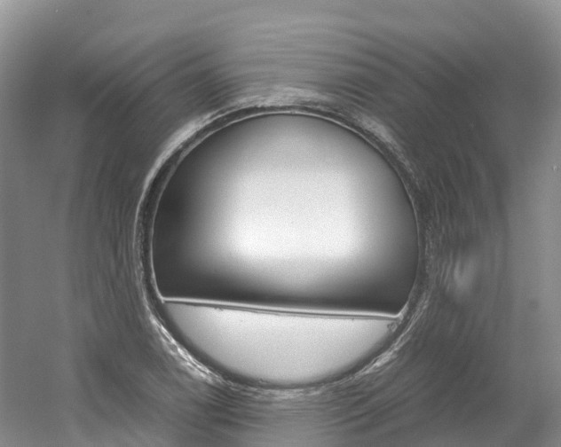 X0000061721122200512021035