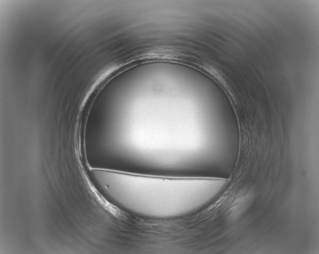 X0000061721131200512021035
