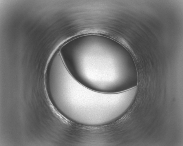 X0000061721132200512021035