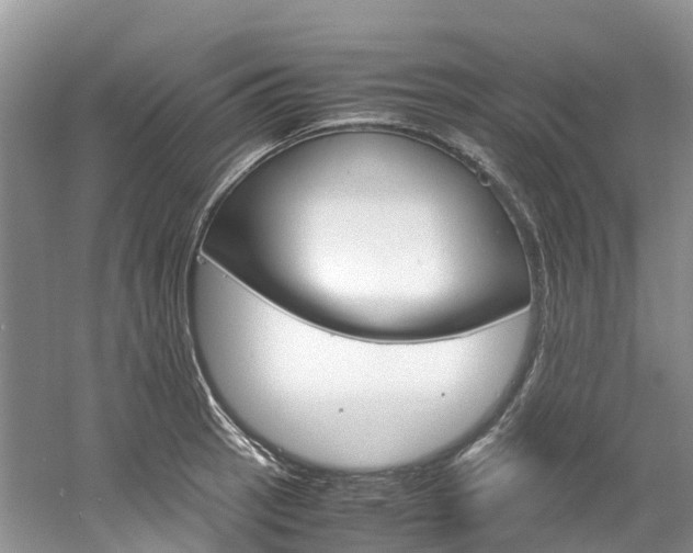 X0000061721137200512021035