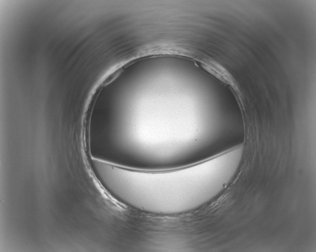 X0000061721144200512021035