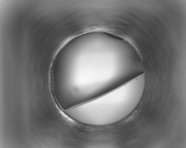 X0000061721151200512021035