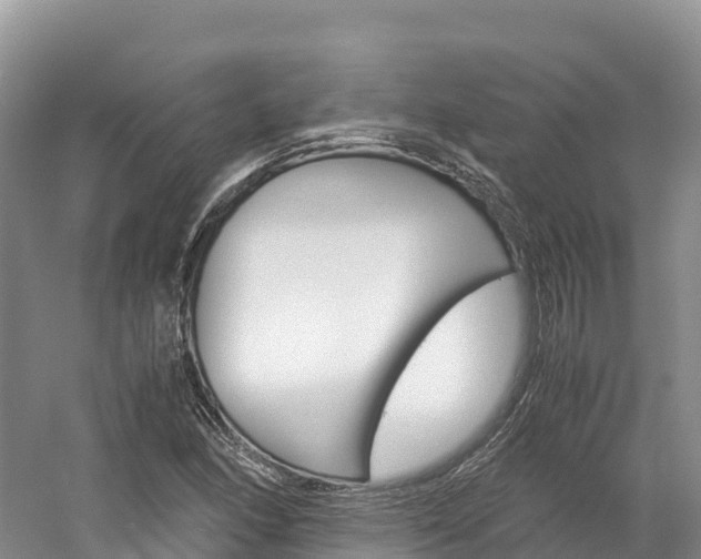 X0000061721166200512021034