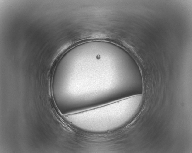 X0000061721171200512021034