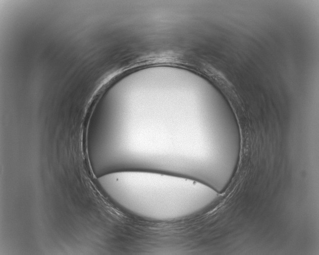 X0000061721174200512021034
