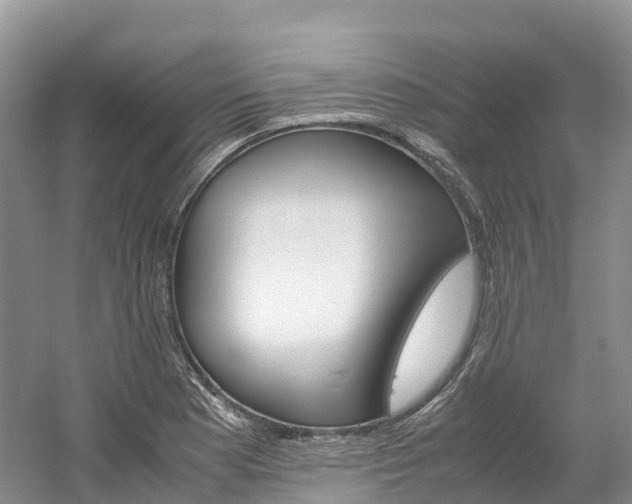 X0000061721177200512021034