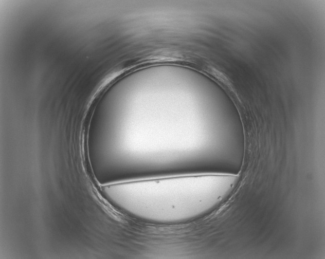 X0000061721179200512021034