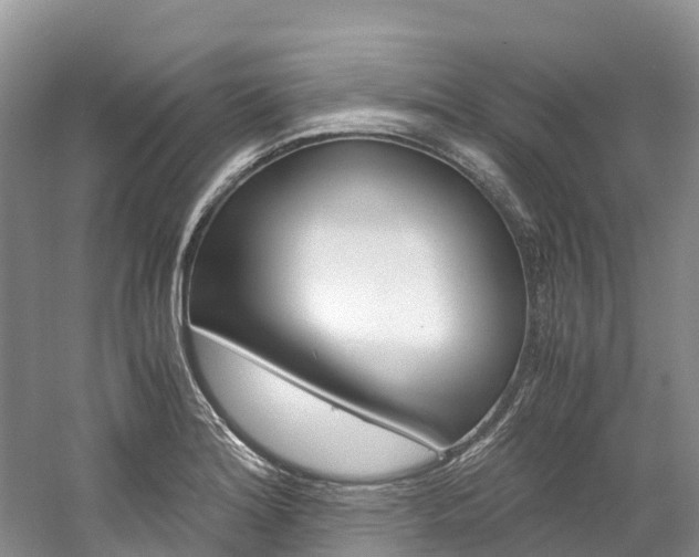 X0000061721180200512021034