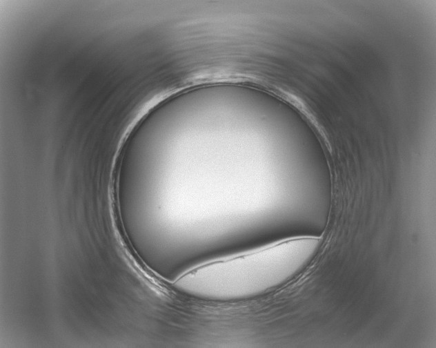 X0000061721187200512021034