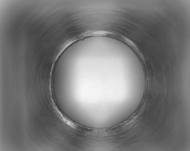 X0000061721194200512021034