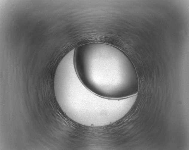X0000061721202200512021033