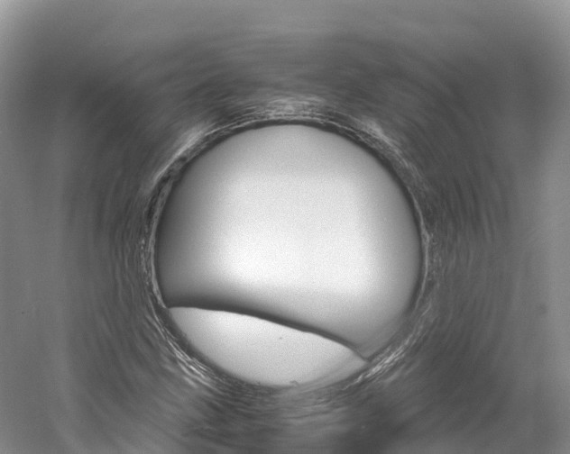 X0000061721211200512021033