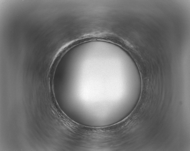 X0000061721214200512021033