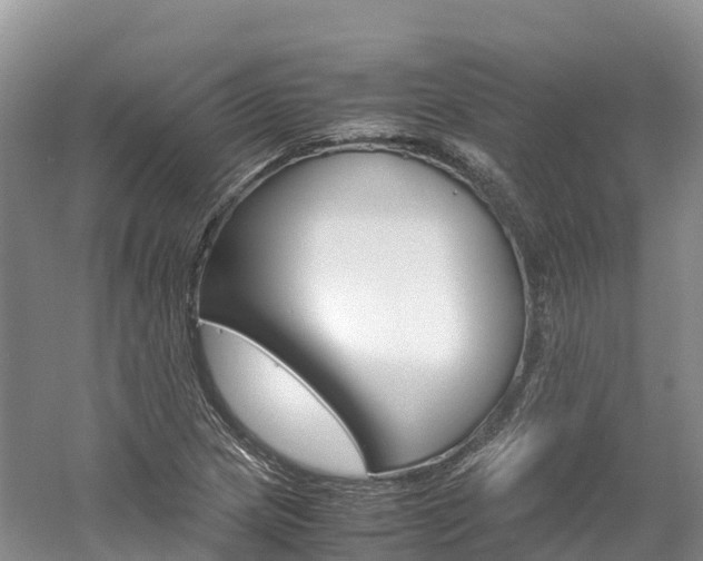 X0000061721217200512021033
