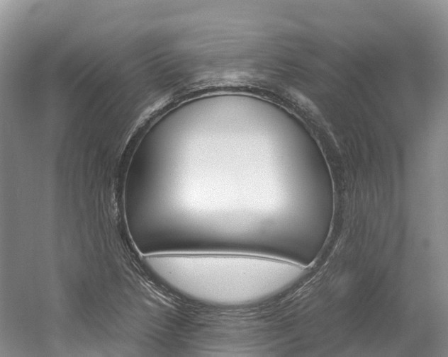 X0000061721218200512021033