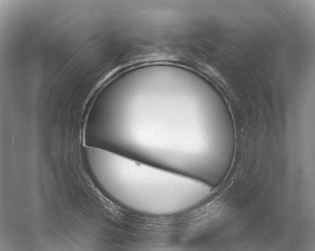 X0000061721220200512021033