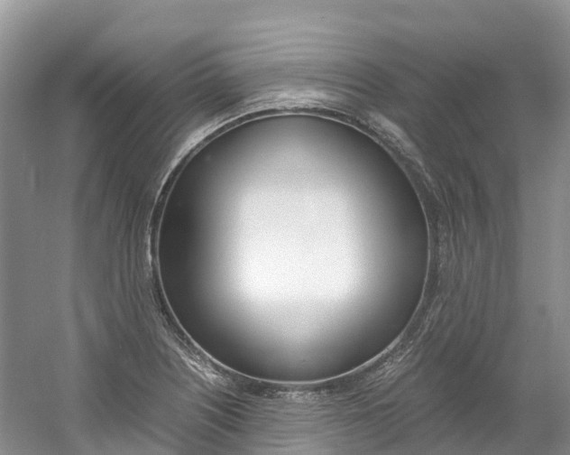 X0000061721226200512021033