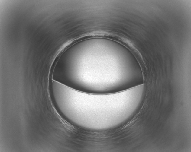 X0000061721229200512021033