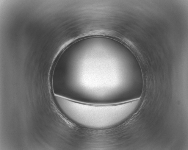 X0000061721230200512021033
