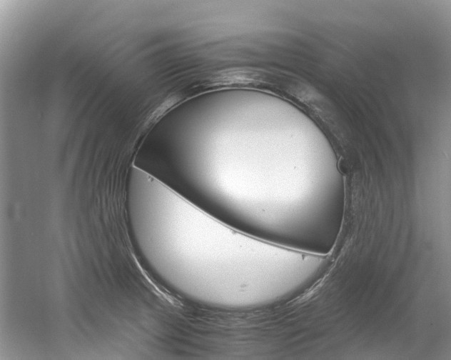 X0000061721233200512021034