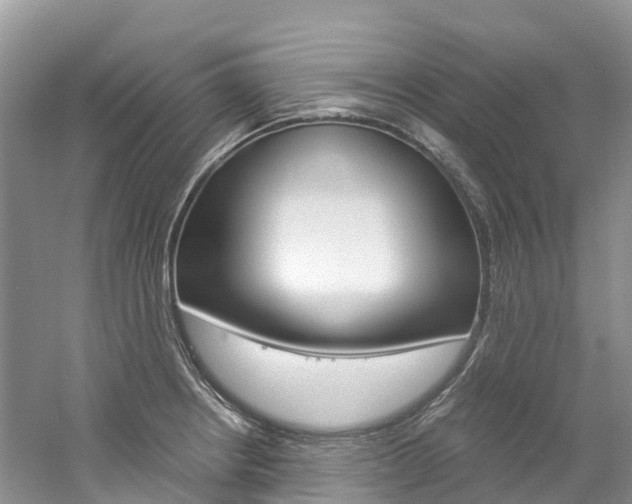 X0000061721234200512021034