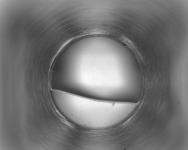 X0000061721236200512021034
