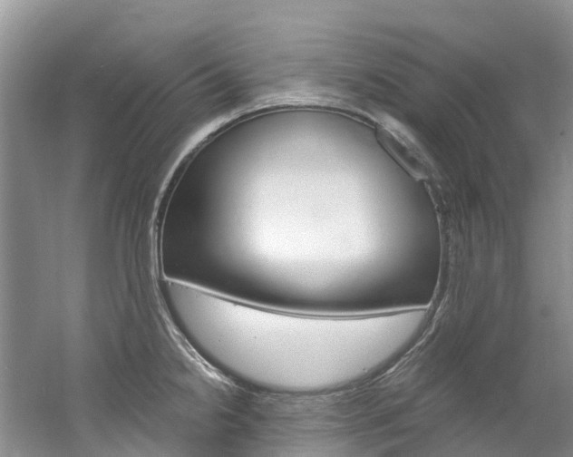 X0000061721238200512021034