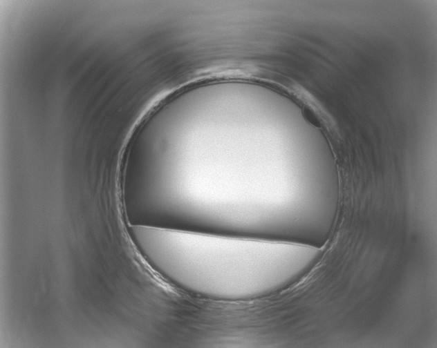 X0000061721240200512021034