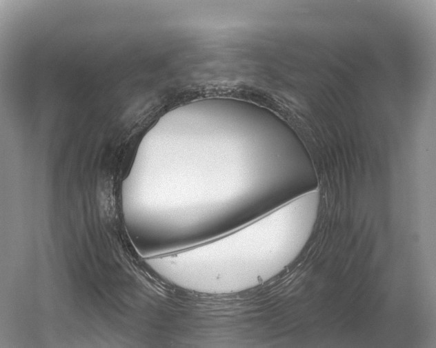 X0000061721252200512021033